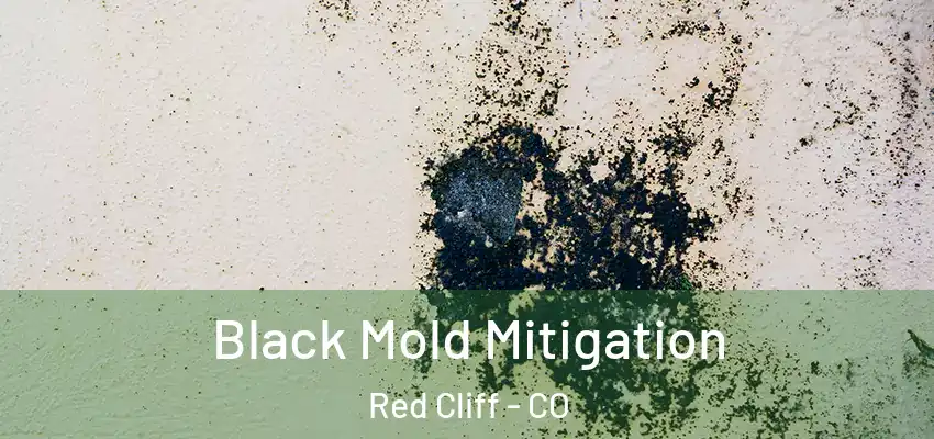  Black Mold Mitigation Red Cliff - CO