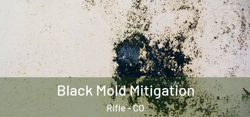  Black Mold Mitigation Rifle - CO
