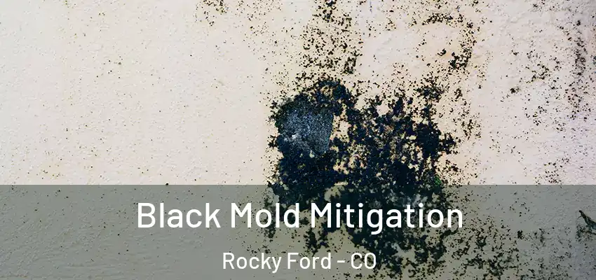 Black Mold Mitigation Rocky Ford - CO