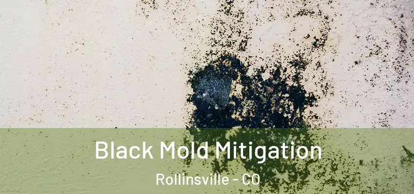  Black Mold Mitigation Rollinsville - CO