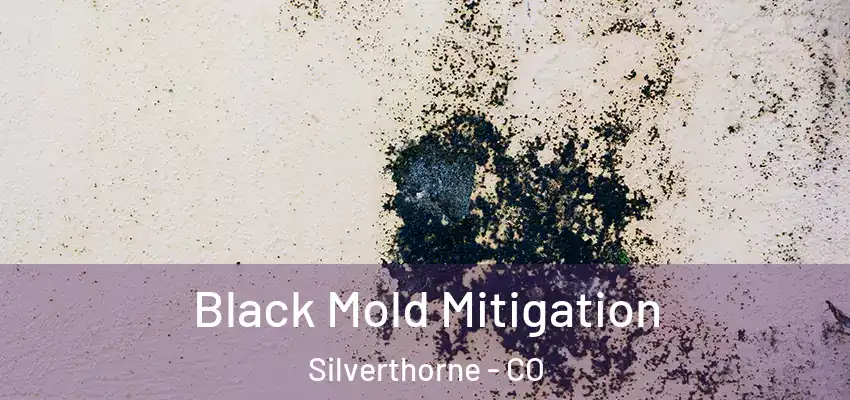  Black Mold Mitigation Silverthorne - CO