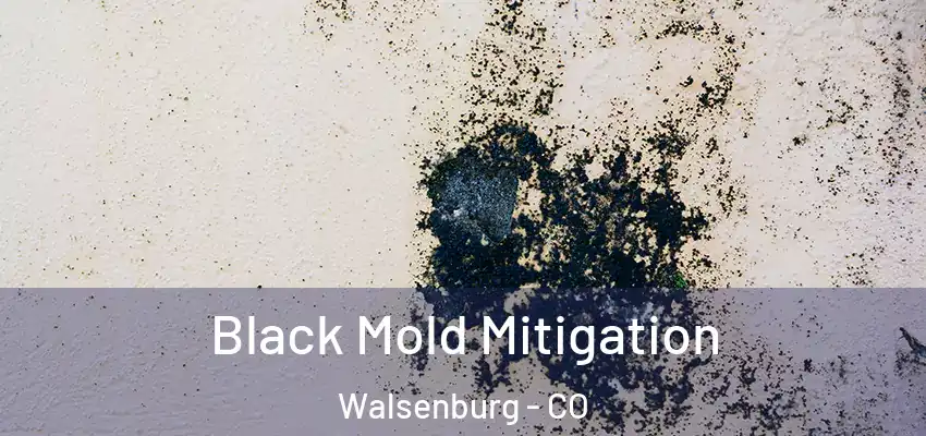  Black Mold Mitigation Walsenburg - CO