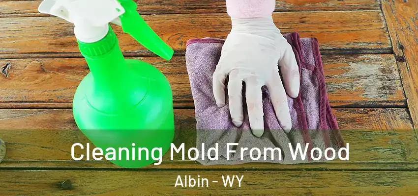  Cleaning Mold From Wood Albin - WY