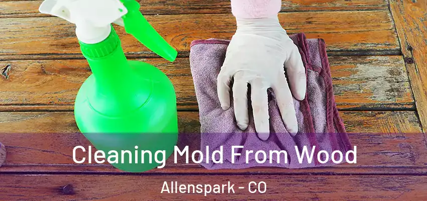  Cleaning Mold From Wood Allenspark - CO