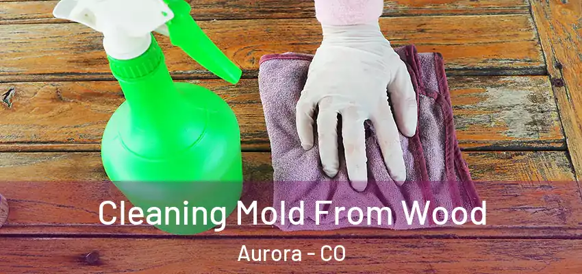 Cleaning Mold From Wood Aurora - CO