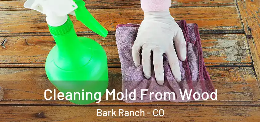  Cleaning Mold From Wood Bark Ranch - CO