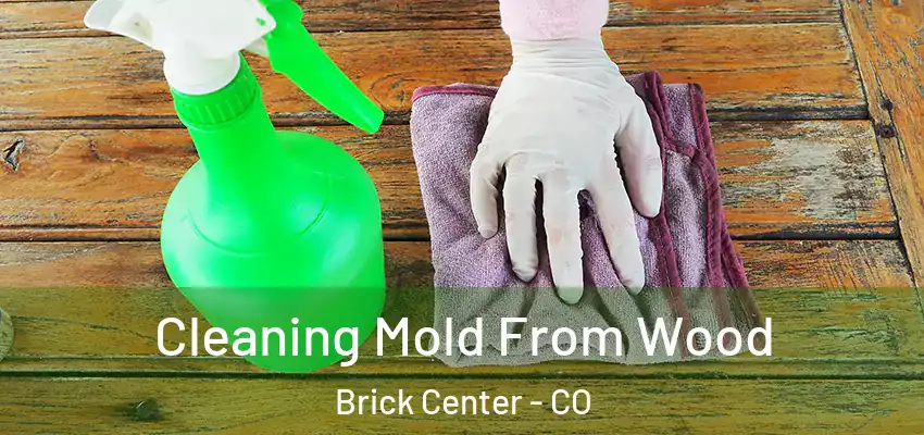  Cleaning Mold From Wood Brick Center - CO