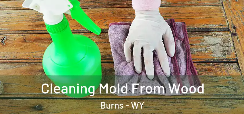 Cleaning Mold From Wood Burns - WY