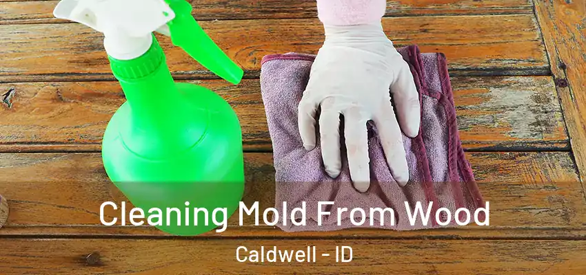  Cleaning Mold From Wood Caldwell - ID