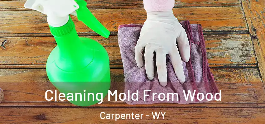  Cleaning Mold From Wood Carpenter - WY