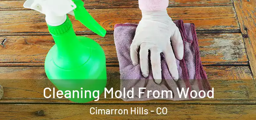  Cleaning Mold From Wood Cimarron Hills - CO