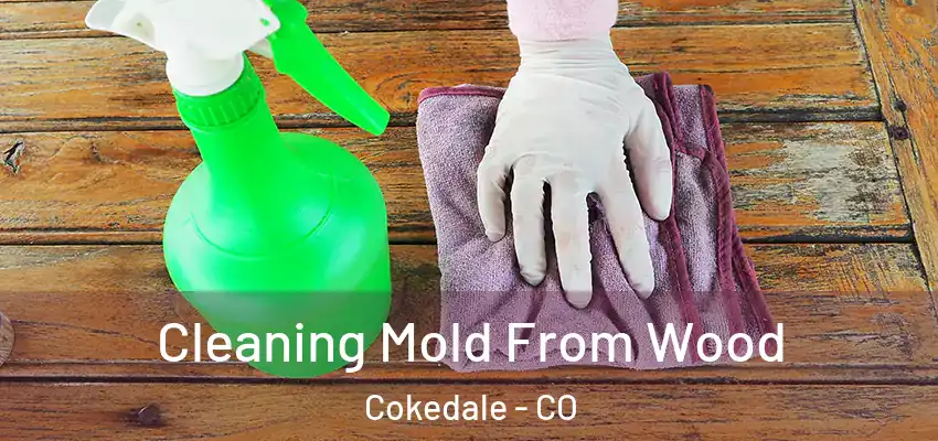 Cleaning Mold From Wood Cokedale - CO
