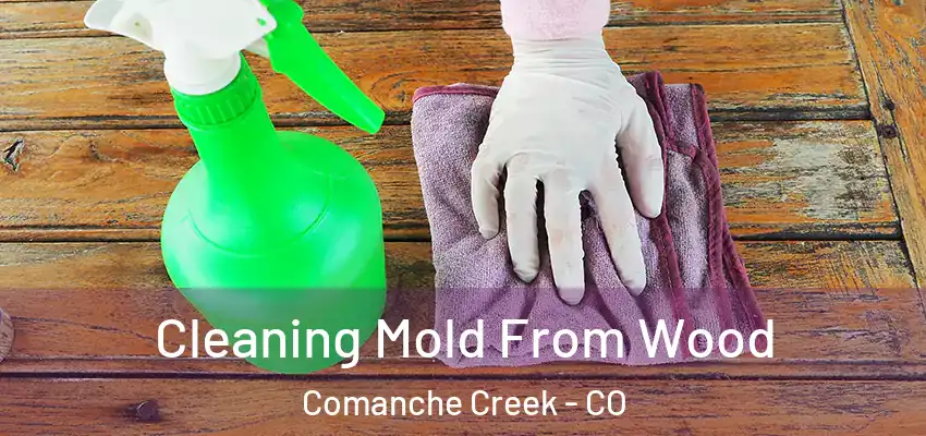  Cleaning Mold From Wood Comanche Creek - CO