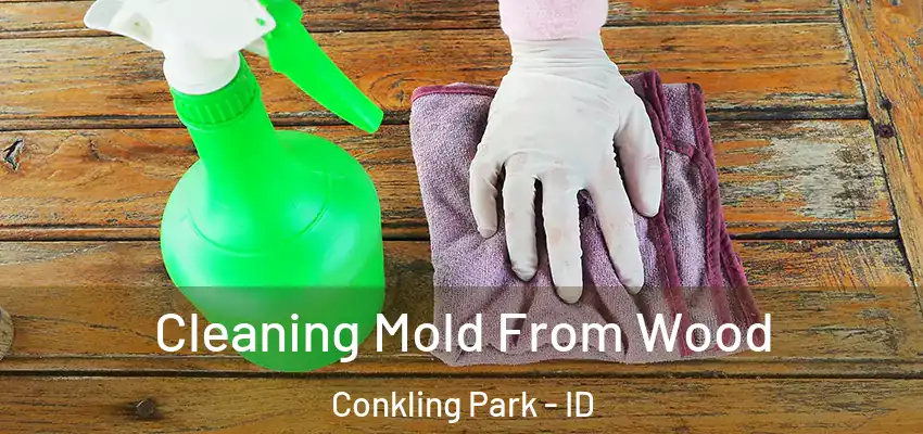 Cleaning Mold From Wood Conkling Park - ID