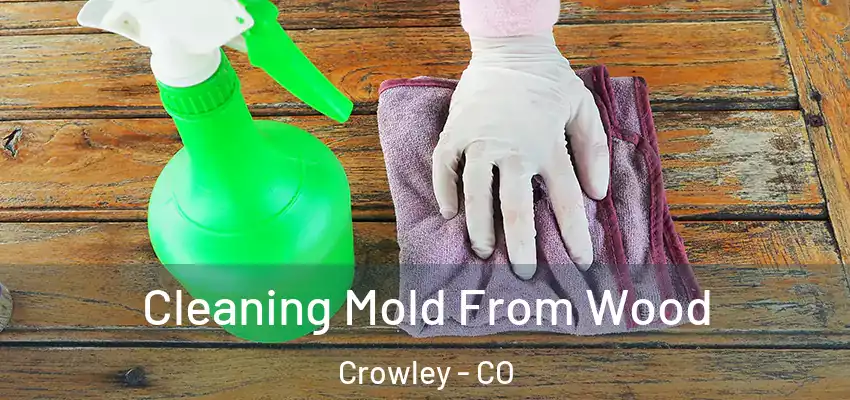  Cleaning Mold From Wood Crowley - CO