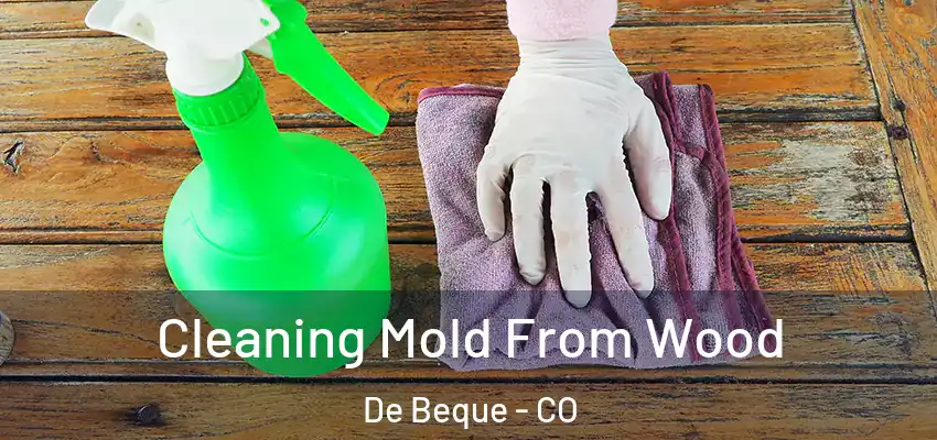  Cleaning Mold From Wood De Beque - CO