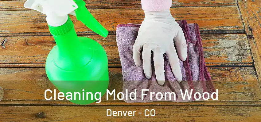  Cleaning Mold From Wood Denver - CO