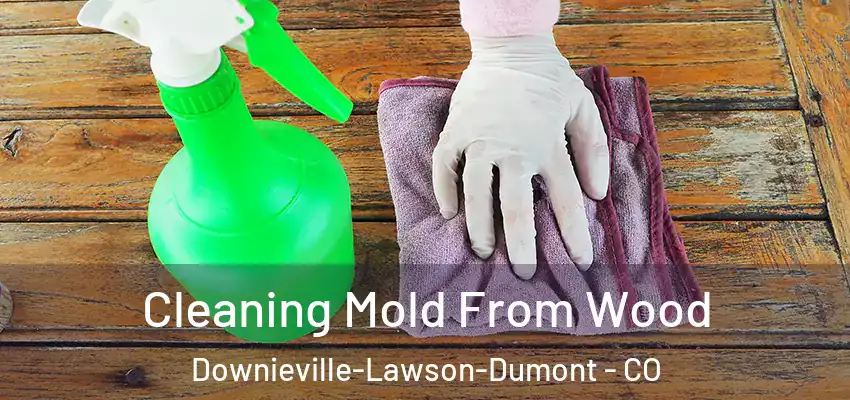  Cleaning Mold From Wood Downieville-Lawson-Dumont - CO
