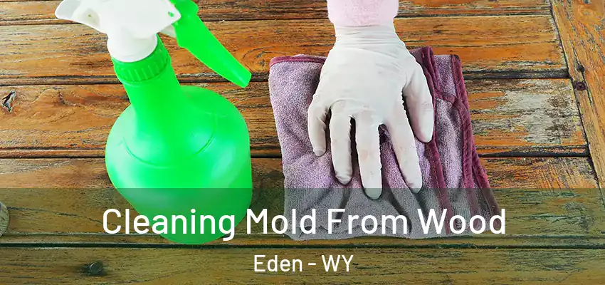  Cleaning Mold From Wood Eden - WY