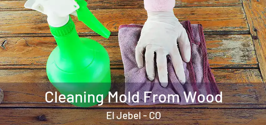  Cleaning Mold From Wood El Jebel - CO