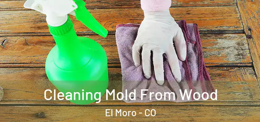 Cleaning Mold From Wood El Moro - CO