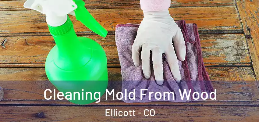  Cleaning Mold From Wood Ellicott - CO