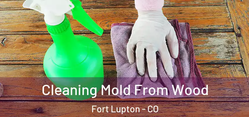  Cleaning Mold From Wood Fort Lupton - CO