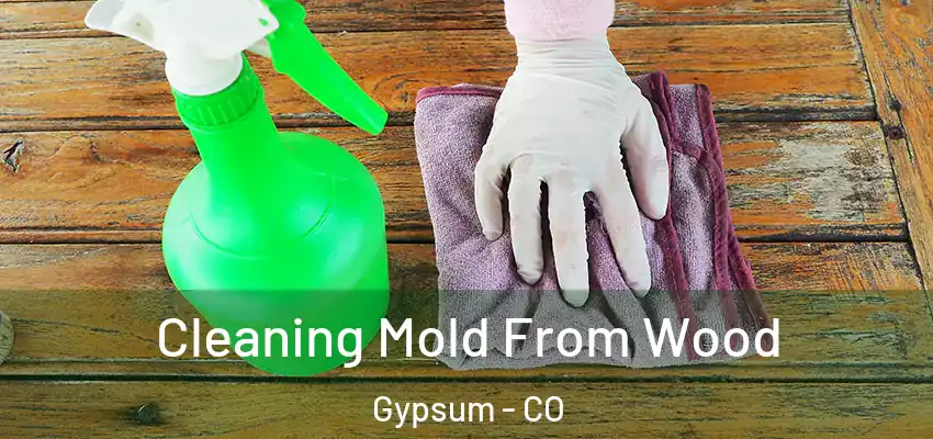 Cleaning Mold From Wood Gypsum - CO