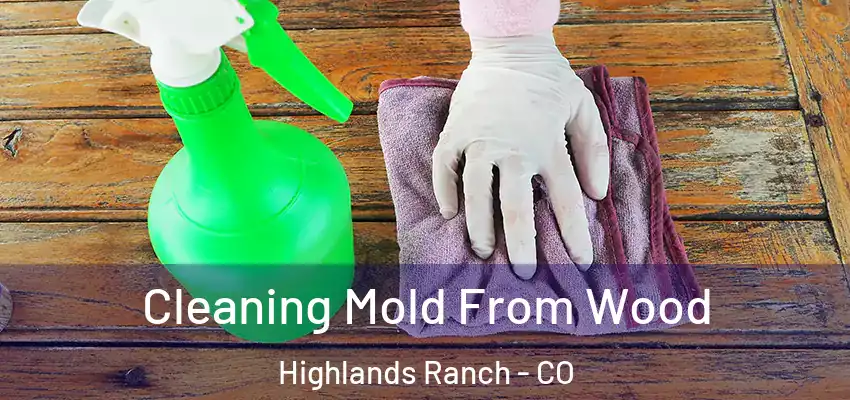  Cleaning Mold From Wood Highlands Ranch - CO