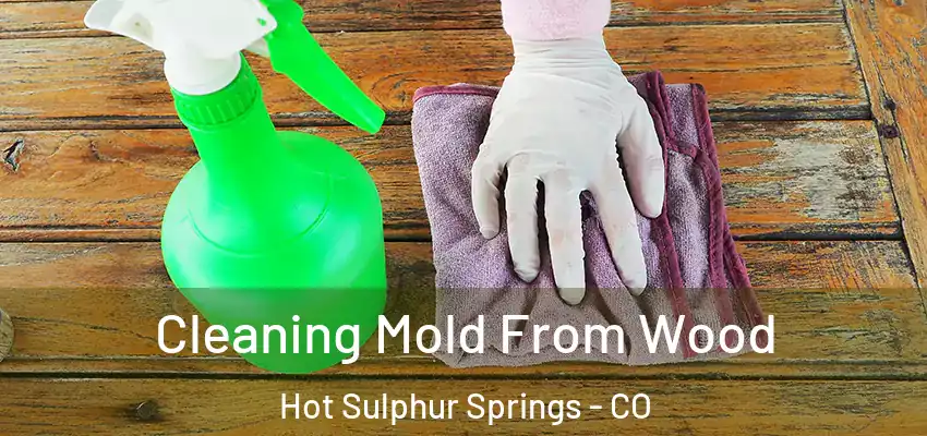  Cleaning Mold From Wood Hot Sulphur Springs - CO