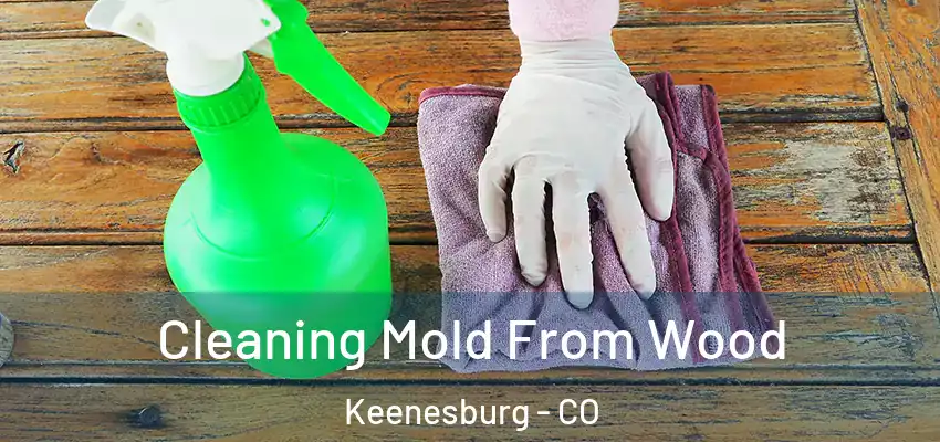  Cleaning Mold From Wood Keenesburg - CO