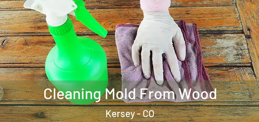  Cleaning Mold From Wood Kersey - CO