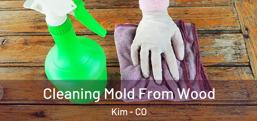  Cleaning Mold From Wood Kim - CO