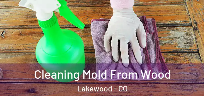 Cleaning Mold From Wood Lakewood - CO