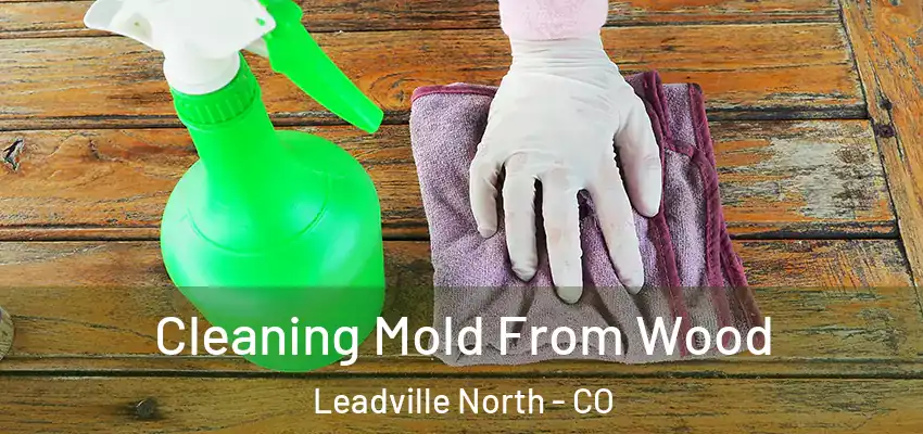  Cleaning Mold From Wood Leadville North - CO