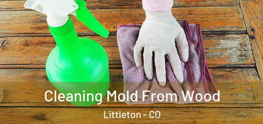  Cleaning Mold From Wood Littleton - CO