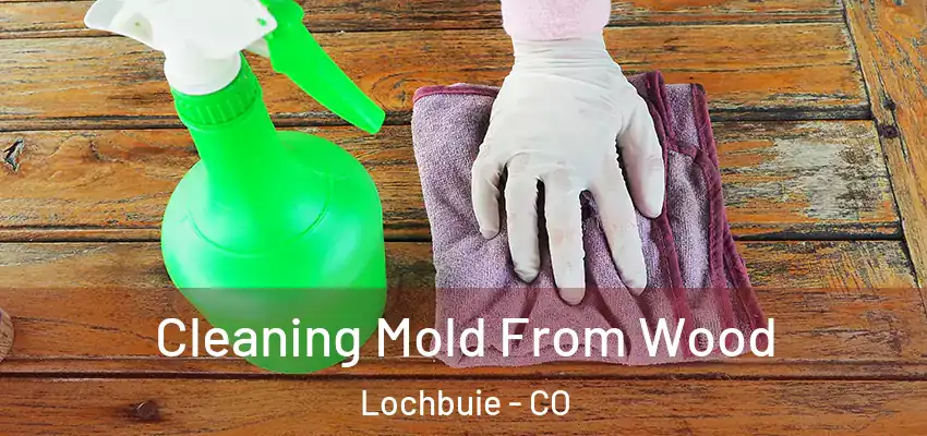  Cleaning Mold From Wood Lochbuie - CO