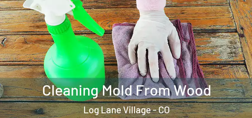Cleaning Mold From Wood Log Lane Village - CO