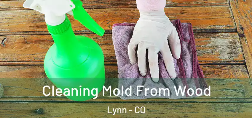  Cleaning Mold From Wood Lynn - CO