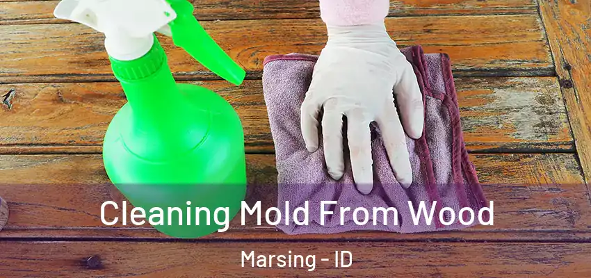  Cleaning Mold From Wood Marsing - ID