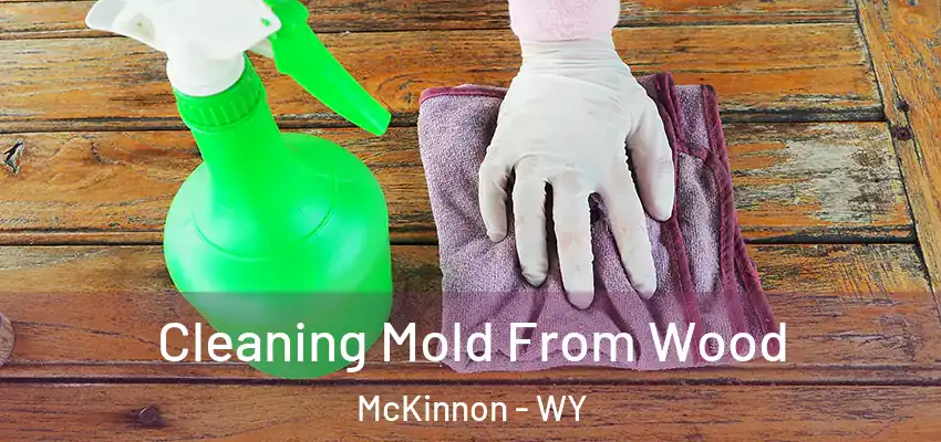 Cleaning Mold From Wood McKinnon - WY