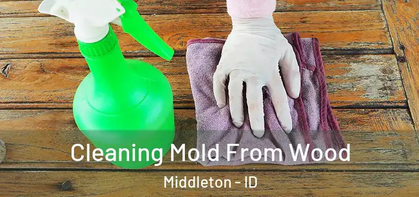 Cleaning Mold From Wood Middleton - ID