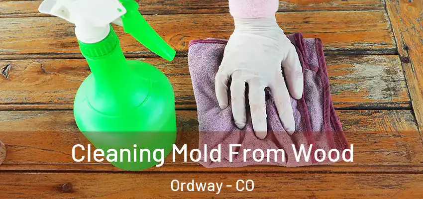  Cleaning Mold From Wood Ordway - CO