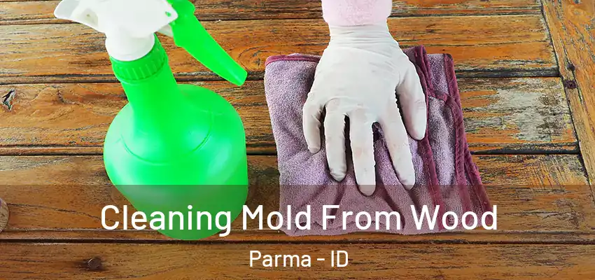  Cleaning Mold From Wood Parma - ID