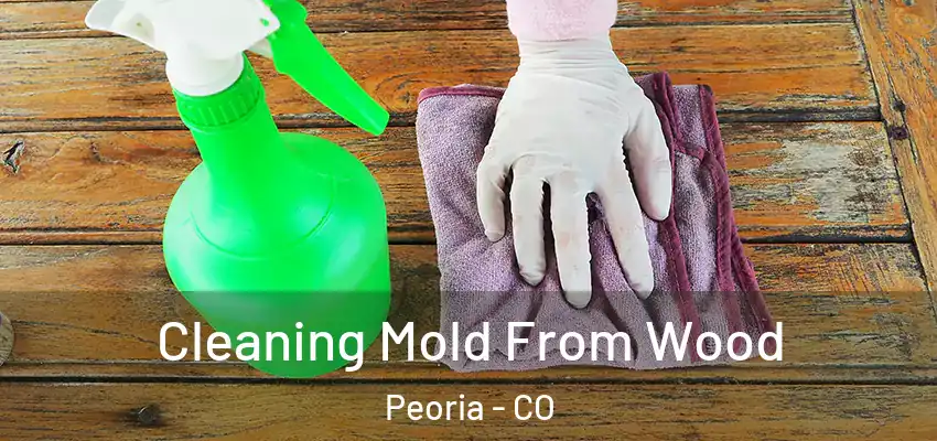  Cleaning Mold From Wood Peoria - CO