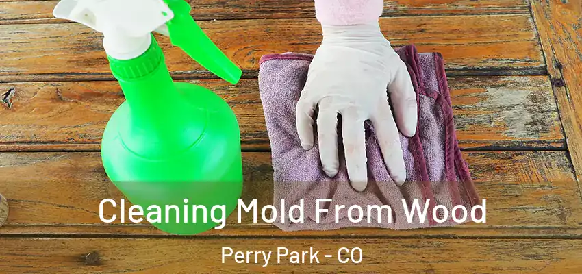 Cleaning Mold From Wood Perry Park - CO