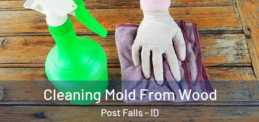  Cleaning Mold From Wood Post Falls - ID