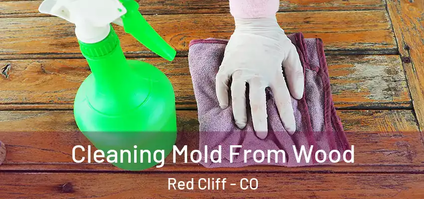  Cleaning Mold From Wood Red Cliff - CO