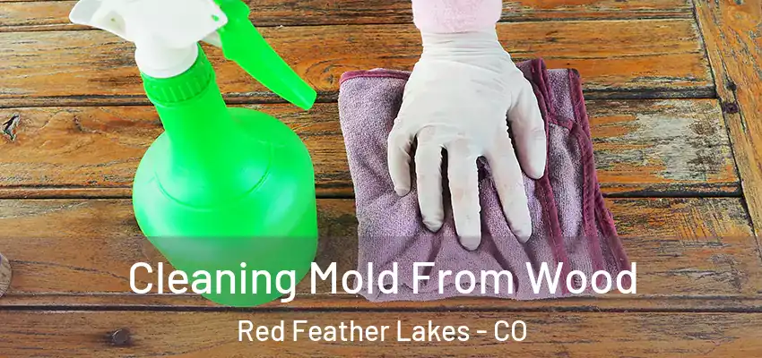  Cleaning Mold From Wood Red Feather Lakes - CO