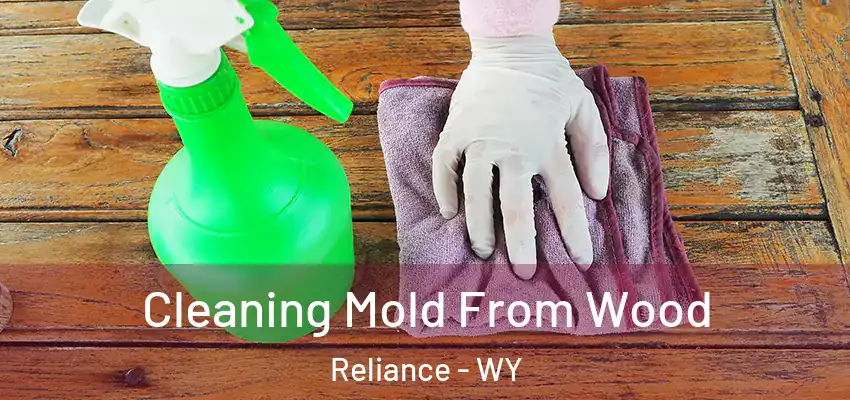  Cleaning Mold From Wood Reliance - WY